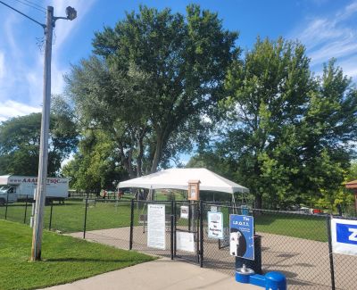 A tent on the other side of a black chain link fence. A huge tree in the background alongside a bright blue sky.