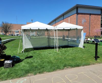 Two white event tents set up on a green lawn next to a sidewalk and a brick building under a clear blue sky. Chalk writing is visible on the sidewalk.
