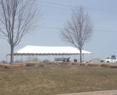 A long white frame tent with a scalloped valance sits atop a grassy hillock between two bare trees, possibly during early spring or late autumn.