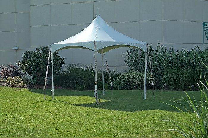 Marquee Tent 10' x 10'